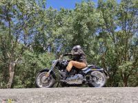 Harley-Davidson_Fat_Boy_2021_31