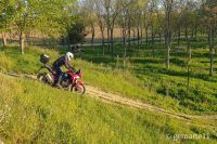 AFRICA_TWIN_1100-09