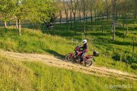 AFRICA_TWIN_1100-10