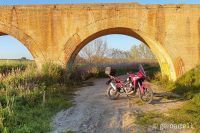 AFRICA_TWIN_1100-12