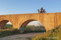 AFRICA_TWIN_1100-20
