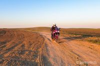 AFRICA_TWIN_1100-26