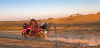 AFRICA_TWIN_1100-34