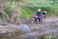 AFRICA_TWIN_1100-53