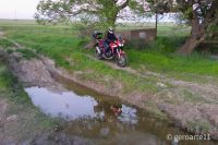 AFRICA_TWIN_1100-55