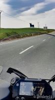 YAMAHA_NIKEN_900-12