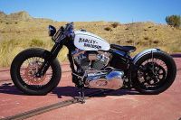 harley-davidson-springer-bobber-blue-7