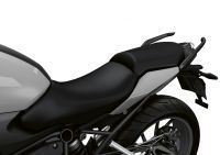 P90483758_lowRes_bmw-r-1250-r-pillion