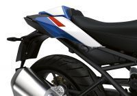 P90485994_lowRes_the-new-bmw-r-1250-r