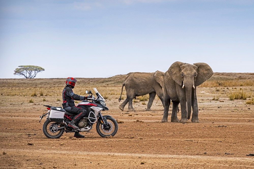 MY23 DUCATI MULTISTRADAV4 RALLY 103 UC437613 High