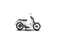 Ndp_MOTRON_GAMAELECTRICAS_L
