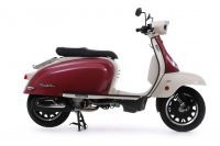 Royal_Alloy_TG_300S_blanco__granate_E5_5