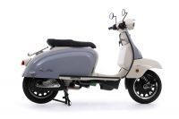 Royal_Alloy_TG_300S_blanco__gris_1