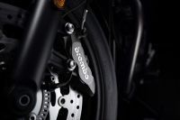 Ndp_Triumph_NuevosColores_MY23_070