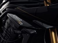 Ndp_Triumph_SpeedTriple_RR_BondEdition_10