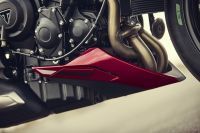 Triumph_Street_Triple_2023_040