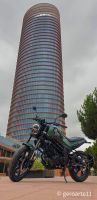 LEONCINO125-01