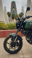 LEONCINO125-08