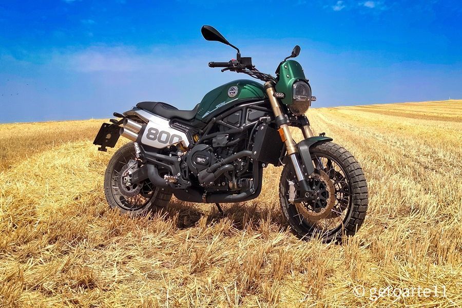 LEONCINO800T 01
