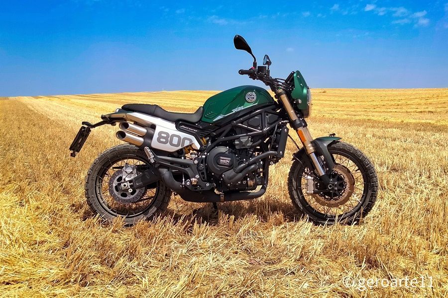 LEONCINO800T 02