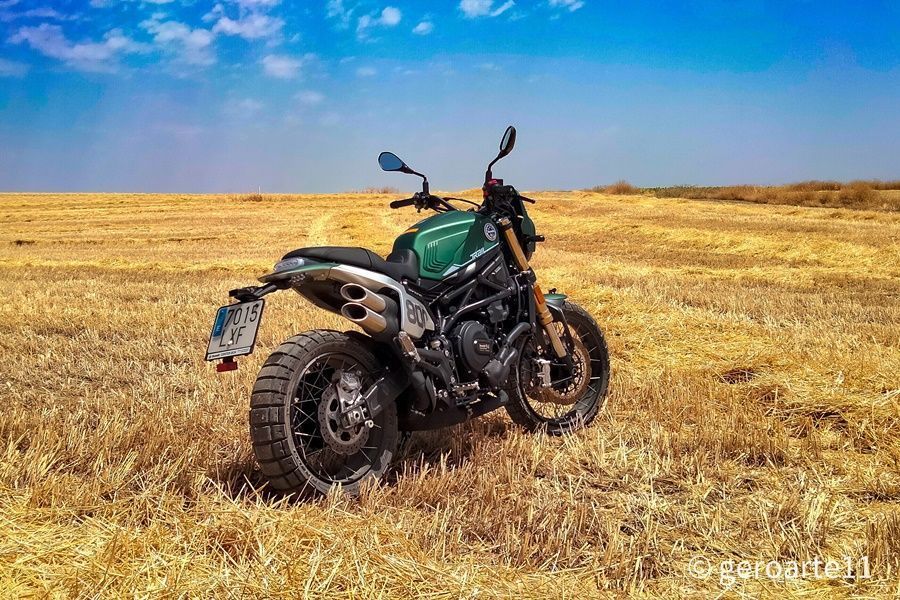 LEONCINO800T 03