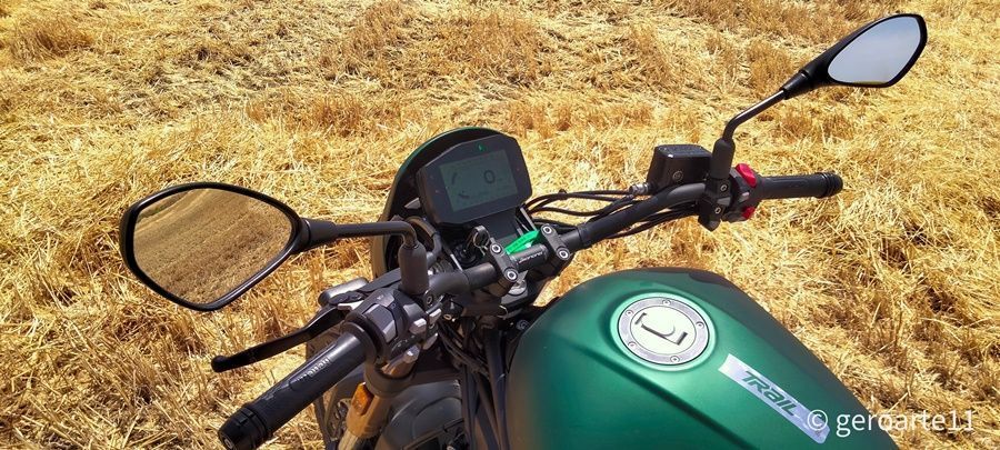 LEONCINO800T 06