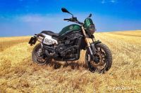 LEONCINO800T-01