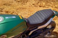 LEONCINO800T-05