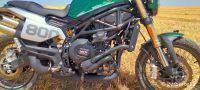 LEONCINO800T-10
