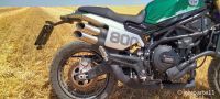 LEONCINO800T-11
