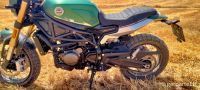 LEONCINO800T-12