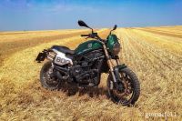 LEONCINO800T-14