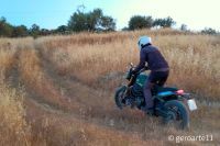 LEONCINO800T-24