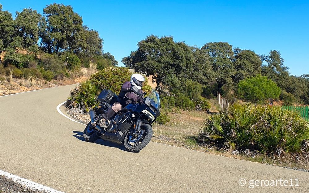 HARLEY DAVIDSON PANAMERICA 24