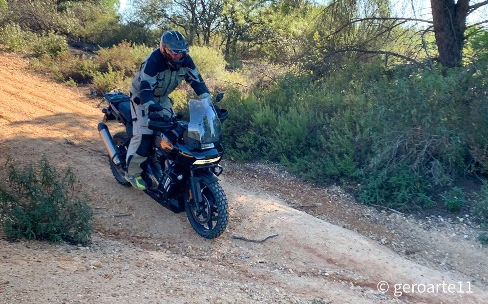 HARLEY DAVIDSON PANAMERICA 31