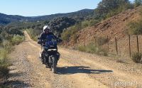 HARLEY_DAVIDSON_PANAMERICA-02