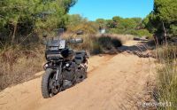 HARLEY_DAVIDSON_PANAMERICA-27