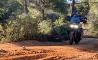 HARLEY_DAVIDSON_PANAMERICA-30