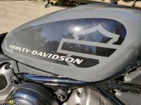 Harley_Davidson_Sportster_Nightster_10