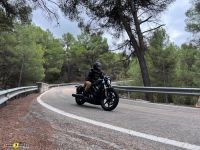 Harley_Davidson_Sportster_Nightster_35
