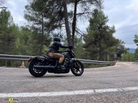 Harley_Davidson_Sportster_Nightster_38