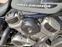 Harley_Davidson_Sportster_Nightster_9
