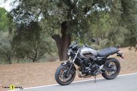 Z650RS_63