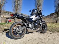 Z650RS_7820