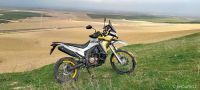 VOGE_300_RALLY-16