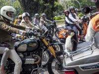 4Triumph_DGR_2023_MADRID_PIER_FOTOGRAFIA_21