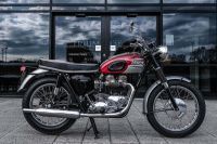 NdP_Triumph_Elvis_Busqueda_010
