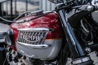 NdP_Triumph_Elvis_Busqueda_011