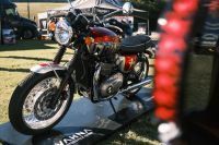 NdP_Triumph_Elvis_Busqueda_020