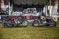 NdP_Triumph_Elvis_Busqueda_026